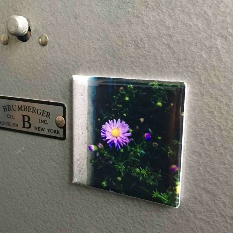 Here’s a flower to get your day started - 2 inch magnet - Primary Image