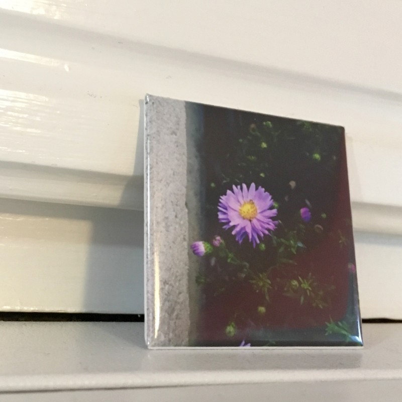 Here’s a flower to get your day started - 2 inch magnet - Additional Image 2