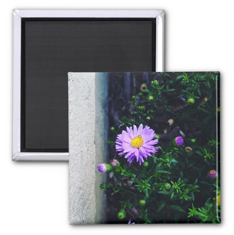Here’s a flower to get your day started - 2 inch magnet - Additional Image 4
