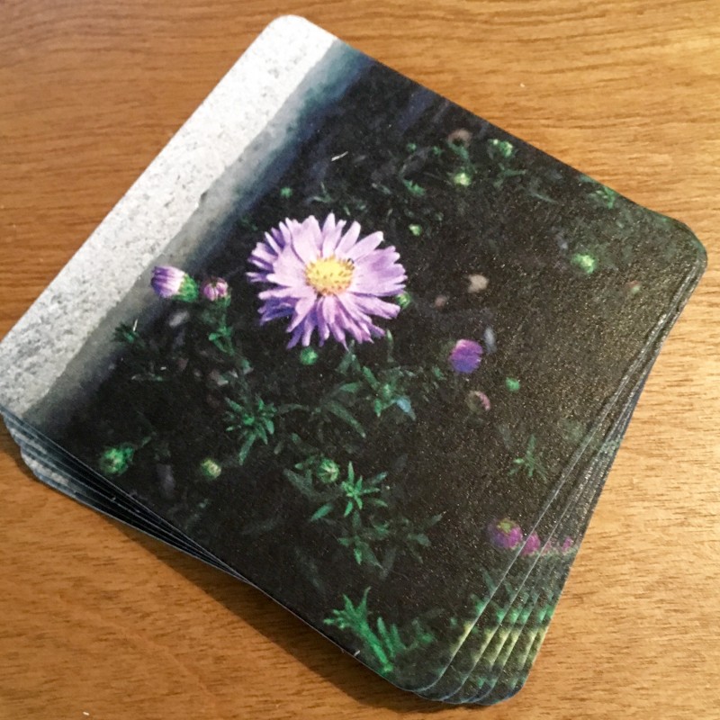 Here’s a flower to get your day started - coaster set - Primary Image