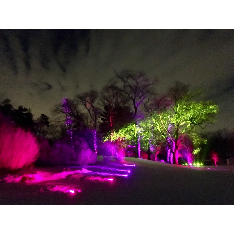 Morton Arboretum - Symphony Woods - photo print - Primary Image