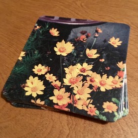Orange flowers by the bird bath - coaster set