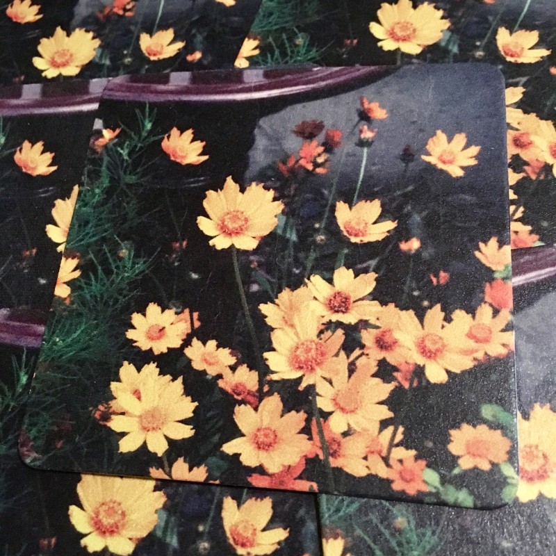 Orange flowers by the bird bath - coaster set - Additional Image 1