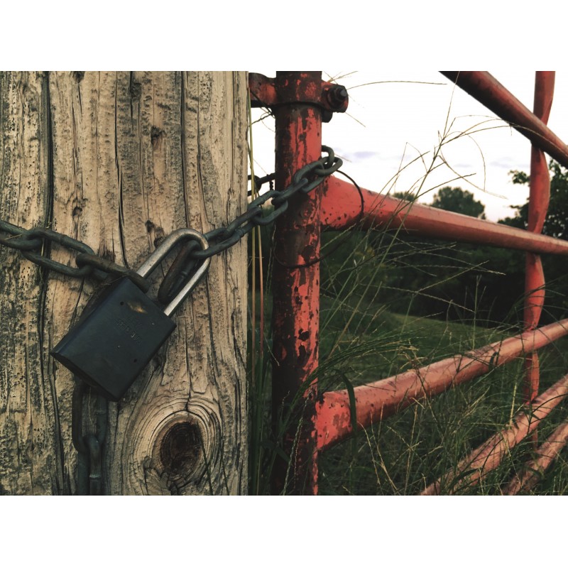 Padlocked gate - photo print - Primary Image