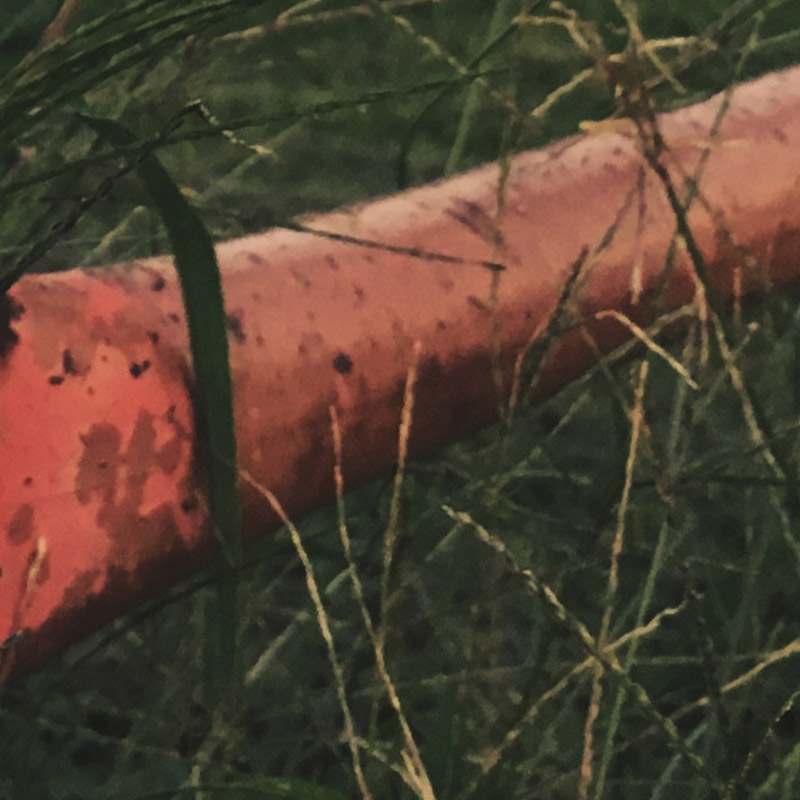 Padlocked gate - photo print - Additional Image 4
