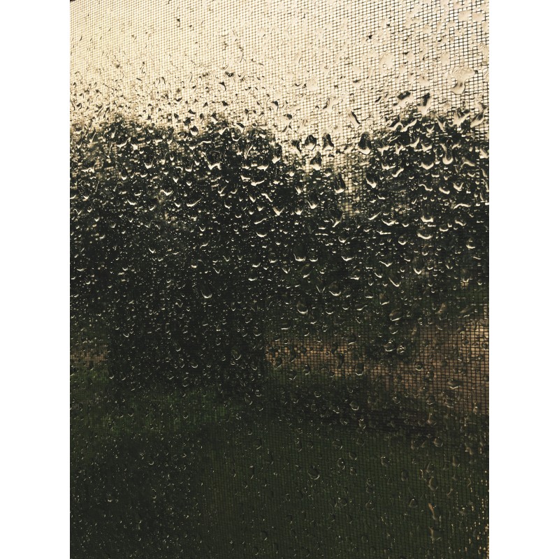 Rainyday Bleh - photo print - Primary Image