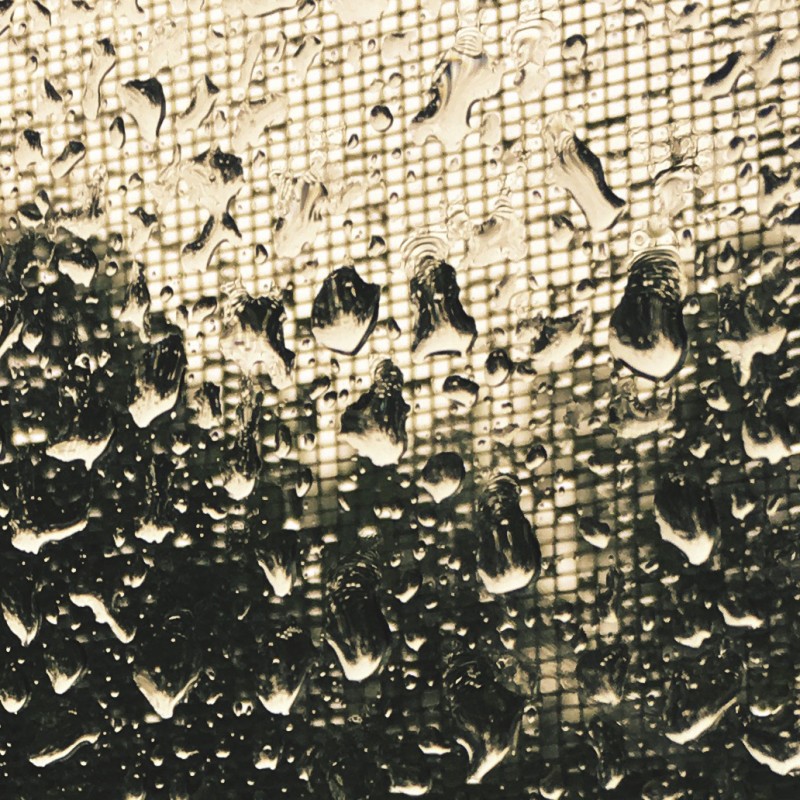 Rainyday Bleh - photo print - Additional Image 1