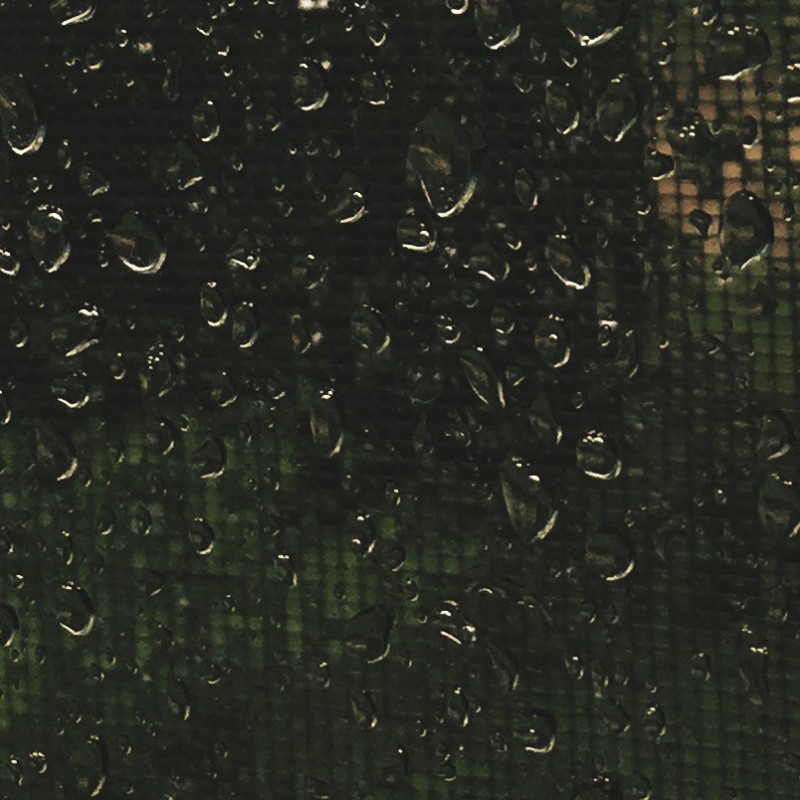 Rainyday Bleh - photo print - Additional Image 2
