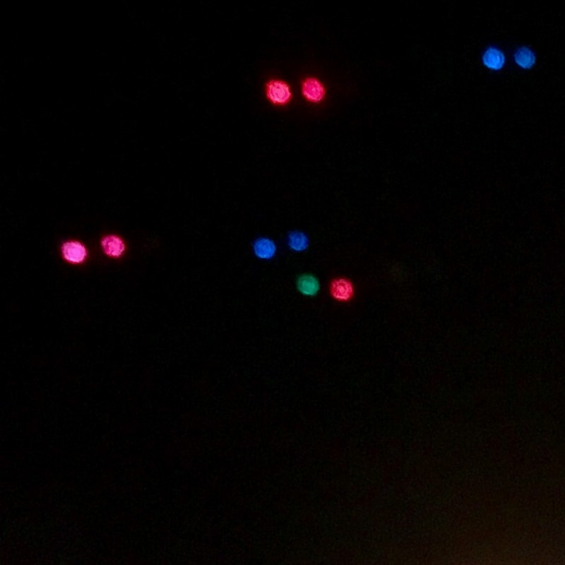 Red and green candles at night - photo print - Additional Image 1