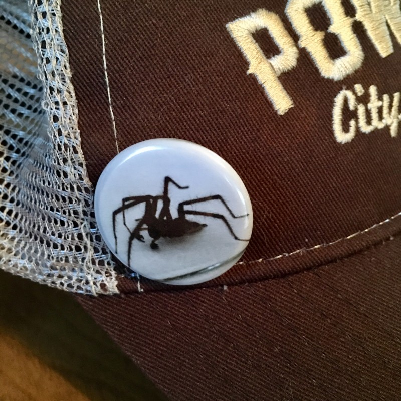 Seven legged spider - 1.25 inch button - Additional Image 3