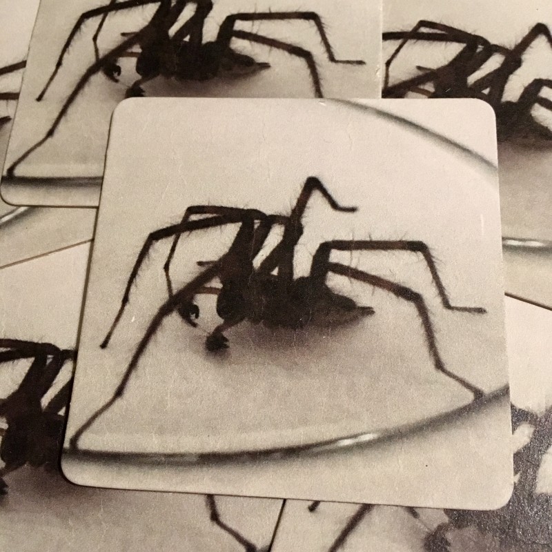 Seven legged spider - coaster set - Additional Image 1