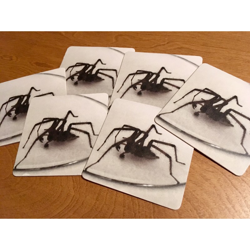 Seven legged spider - coaster set - Additional Image 2