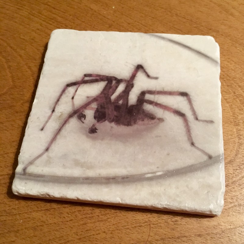 Seven legged spider - marble coaster - Primary Image