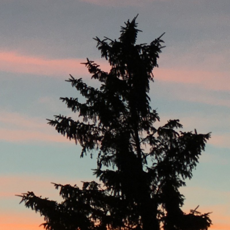 Sunset on Jun 26th, 2016 - photo print - Additional Image 2