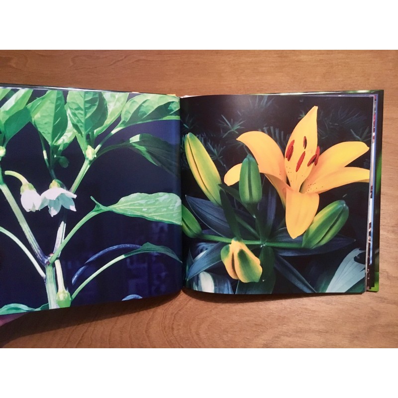 2016 Photo Book - flowers and such - Additional Image 3