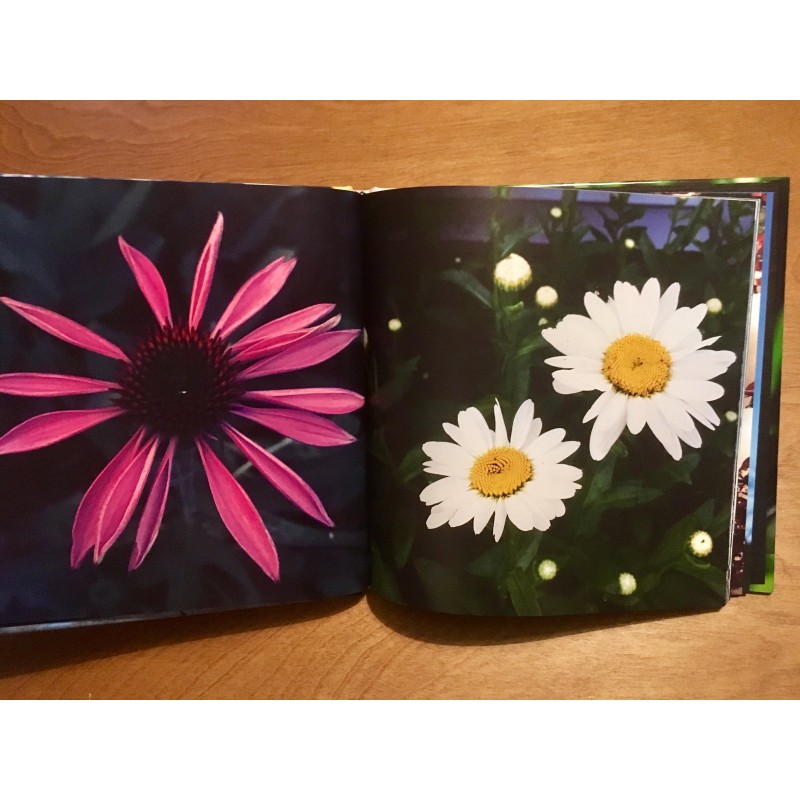 2016 Photo Book - flowers and such - Additional Image 4