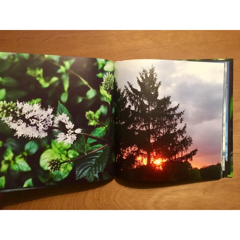 2016 Photo Book - flowers and such - Additional Image 5