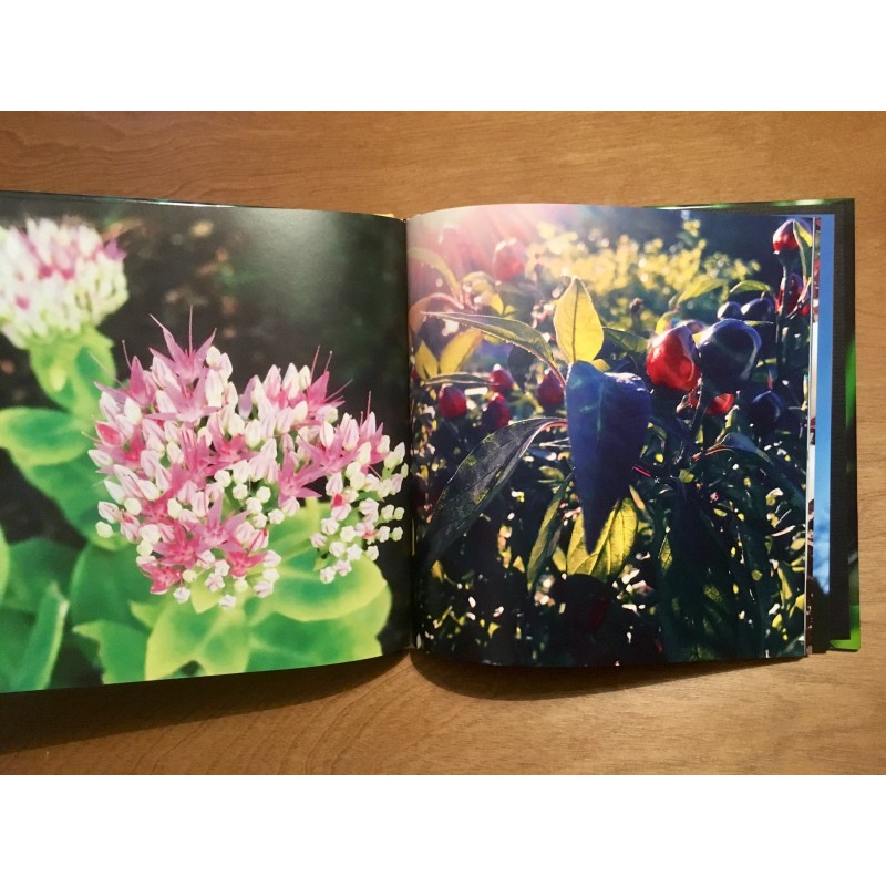 2016 Photo Book - flowers and such - Additional Image 6