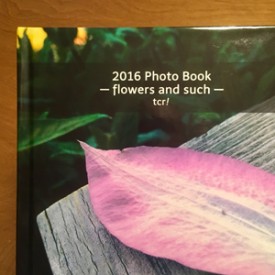 2016 Photo Book - flowers and such