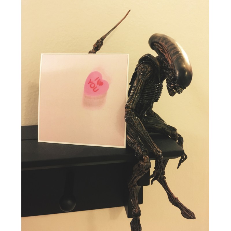 Alien Valentines - photo print - Primary Image