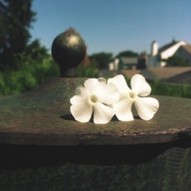 Be beautiful wherever you are - photo print
