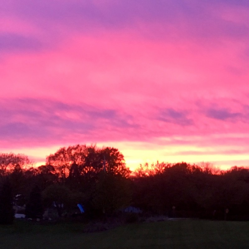 Happy purple vivid sunset - photo print - Additional Image 2