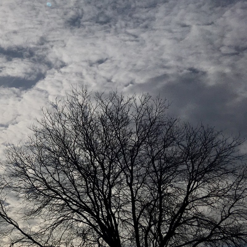 Here’s your happy-morning photo - photo print - Additional Image 3
