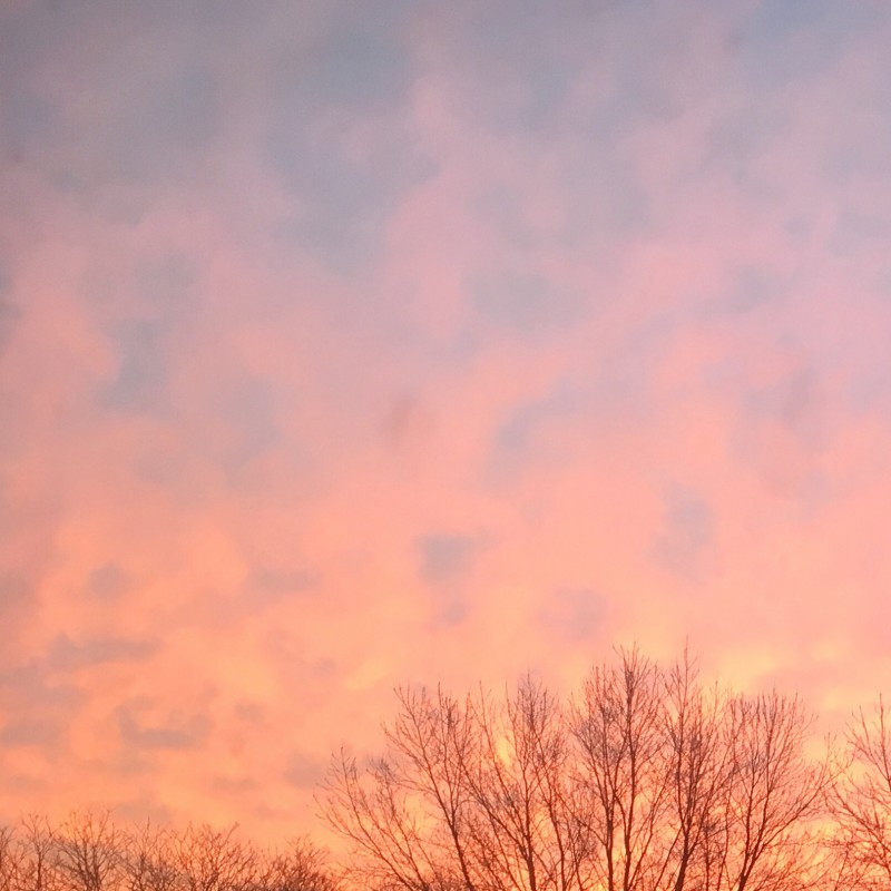 Jan 9th pink sunrise - photo print - Additional Image 1
