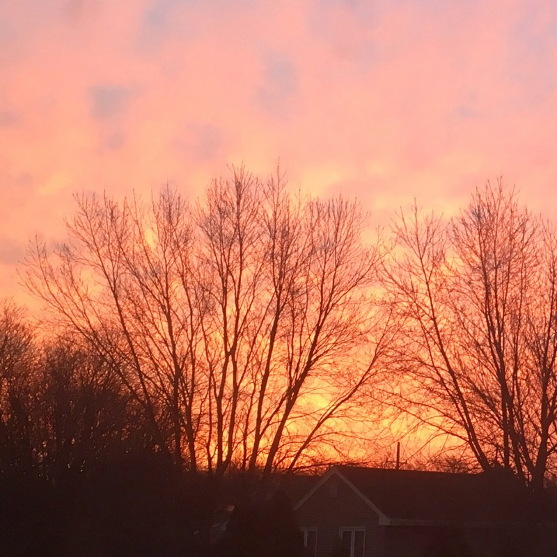 Jan 9th pink sunrise - photo print - Additional Image 2
