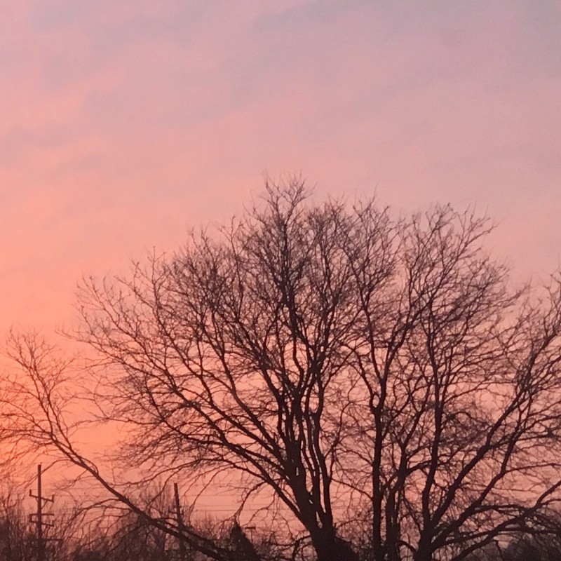 Jan 9th pink sunrise - photo print - Additional Image 3