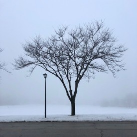 Foggy this morning in Geneva - photo print