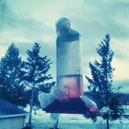 frozen humming bird feeder