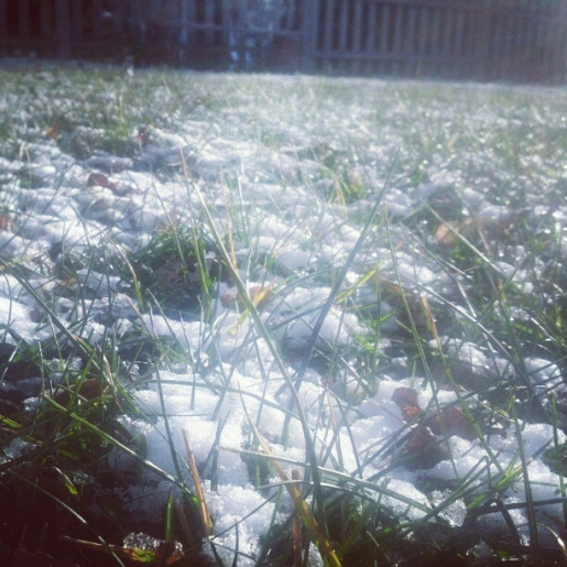 The first snow of Winter