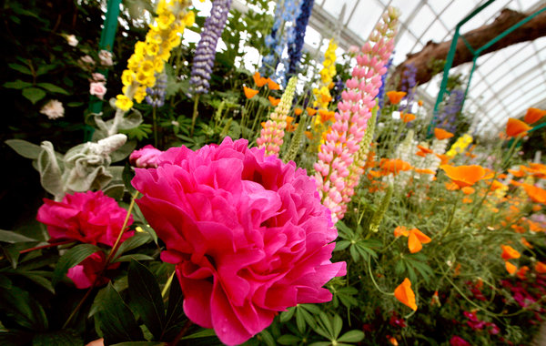 Monet's Garden at the New York Botanical Garden