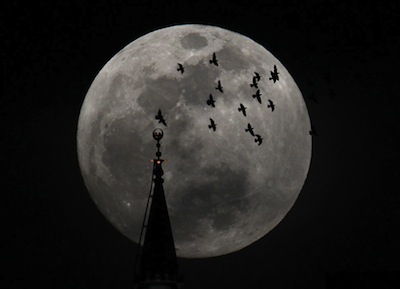 Super Moon was, in fact, pretty super (big photo gallery)