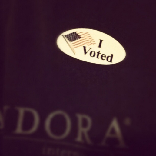 I Voted in the 2012 Election