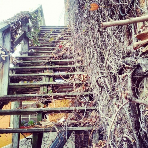 Spooky, Vine Covered Stairs