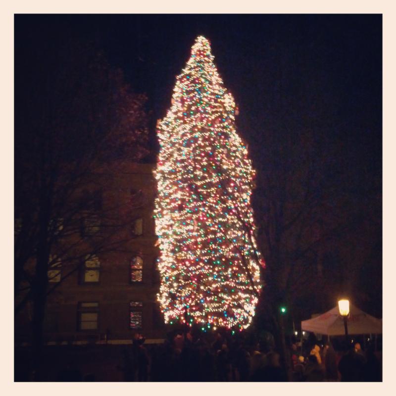christmas tree in downtown geneva