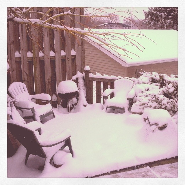 Obligatory 'it snowed' photograph
