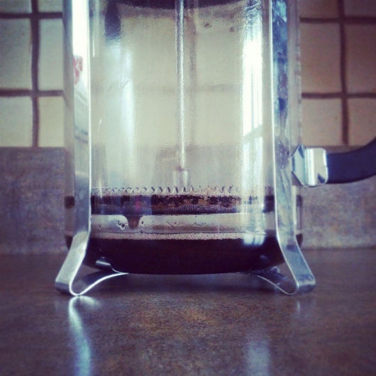 Empty French Press Pot