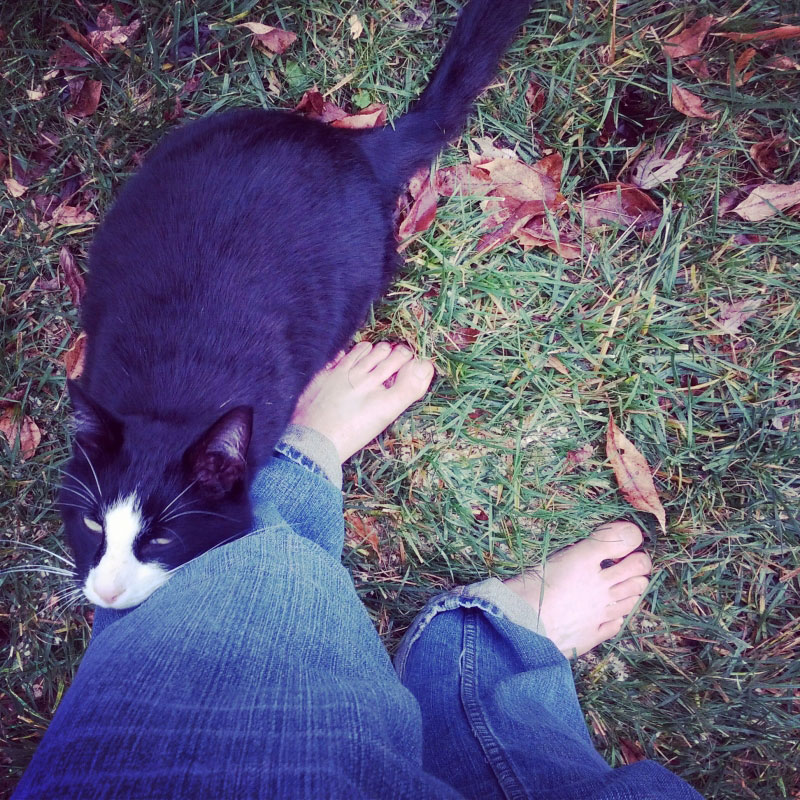Me and fat cat are in the yard without shoes in November