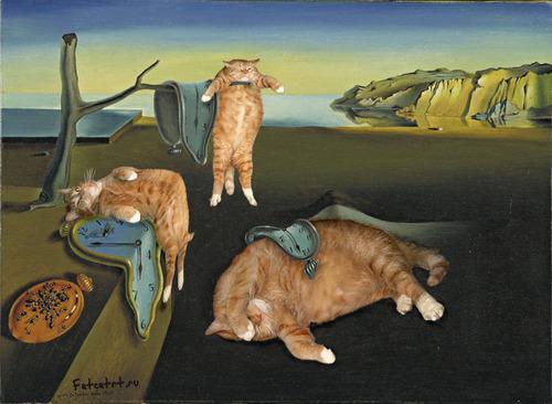 dali cats