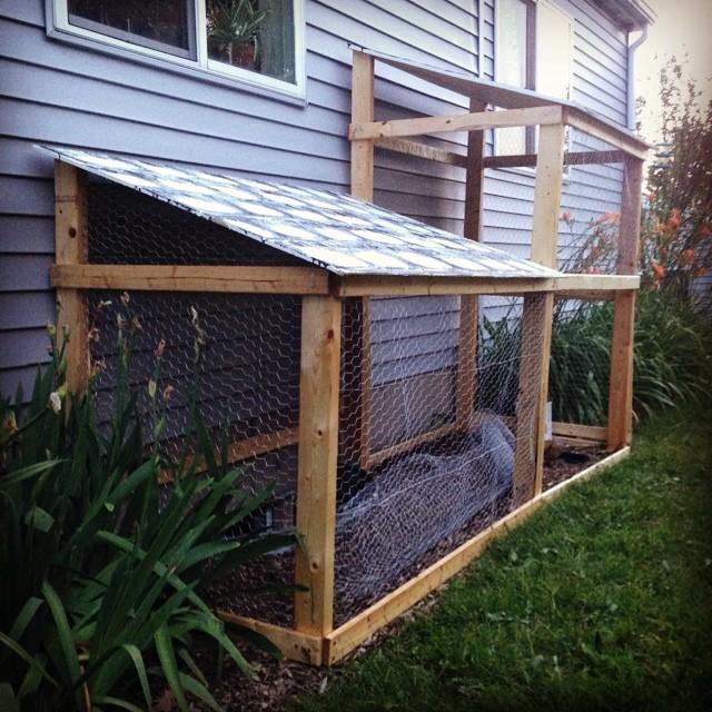 the cat pen almost got finished in a weekend