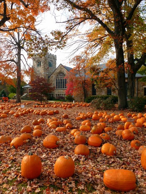 with pumpkins