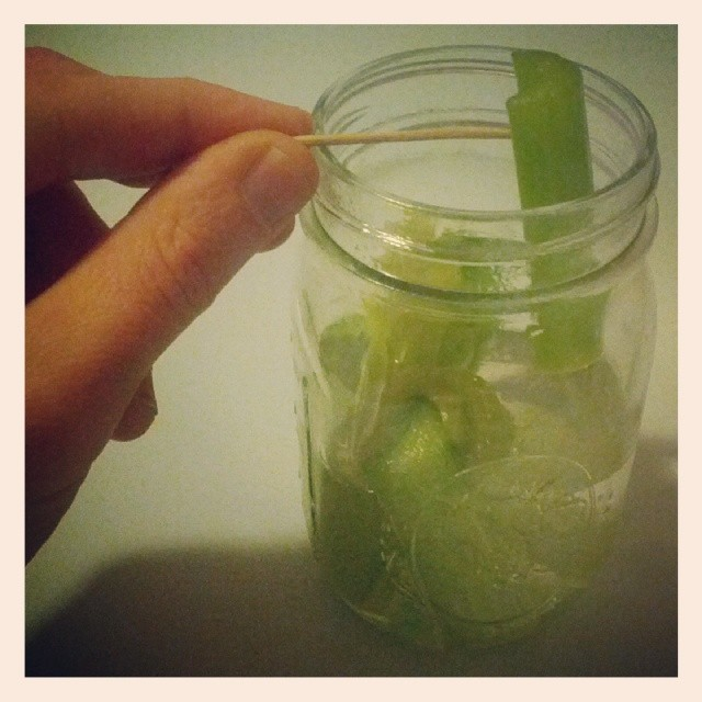eating celery out of a jar with a toothpick