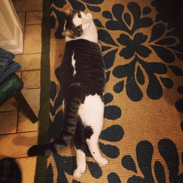 pearl and her crazy back feet