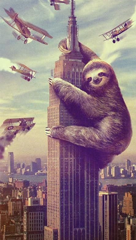 please enjoy sloth kong