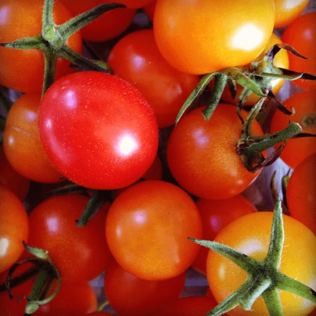abe froman tomato king of geneva