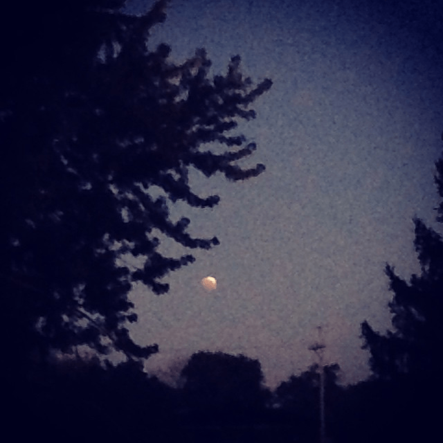 Lunar Eclipse - Oct 8th, 2014 at 6:26:48 am