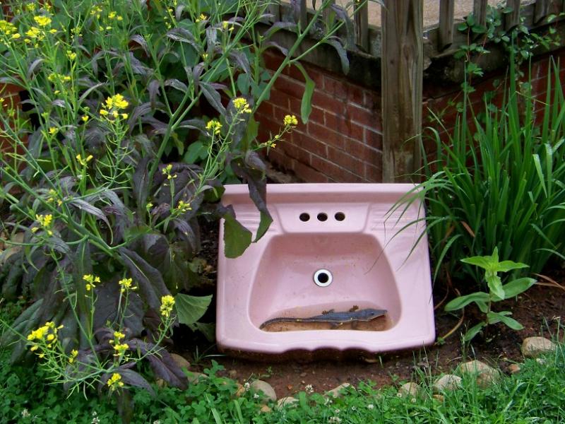 outdoor pink sink with gator